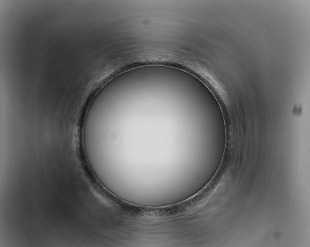 X0000103270489200808291110
