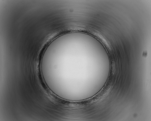 X0000103270490200808291110