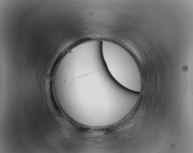 X0000103270491200808291110