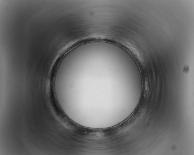 X0000103270492200808291110