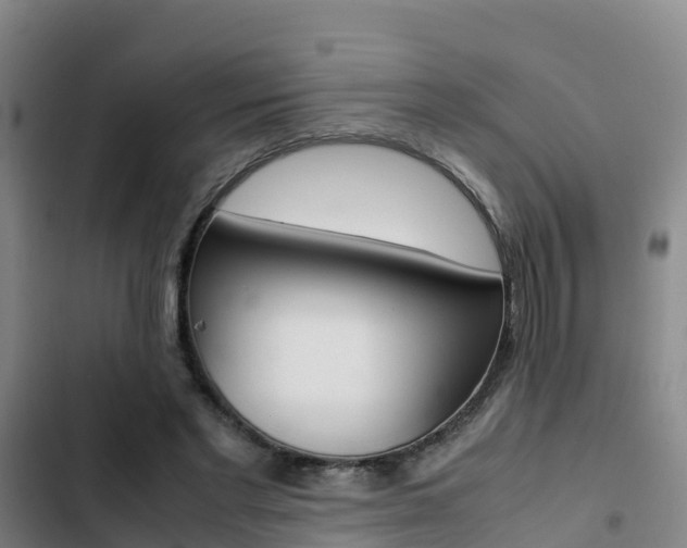 X0000103270493200808291110
