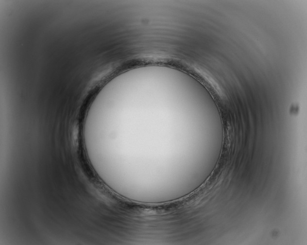 X0000103270494200808291110