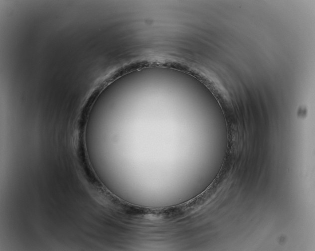 X0000103270496200808291110
