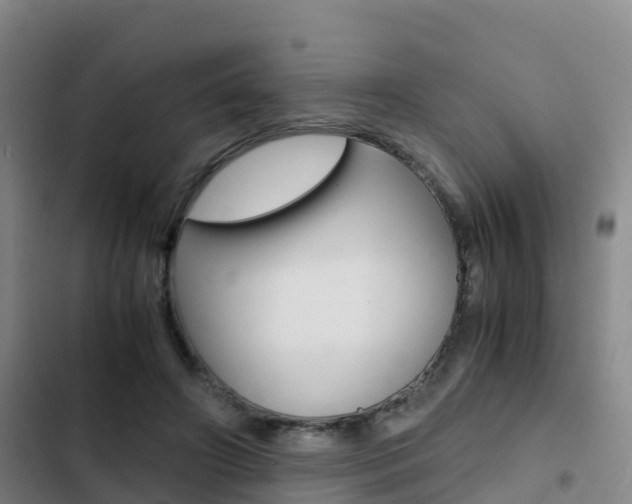X0000103270498200808291110