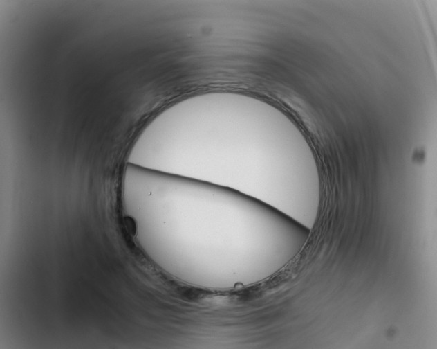 X0000103270499200808291110