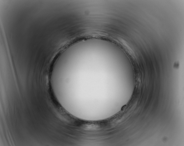 X0000103270500200808291110