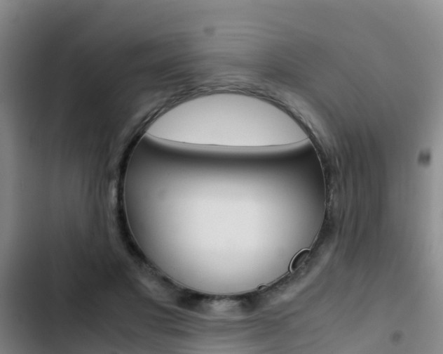 X0000103270501200808291110