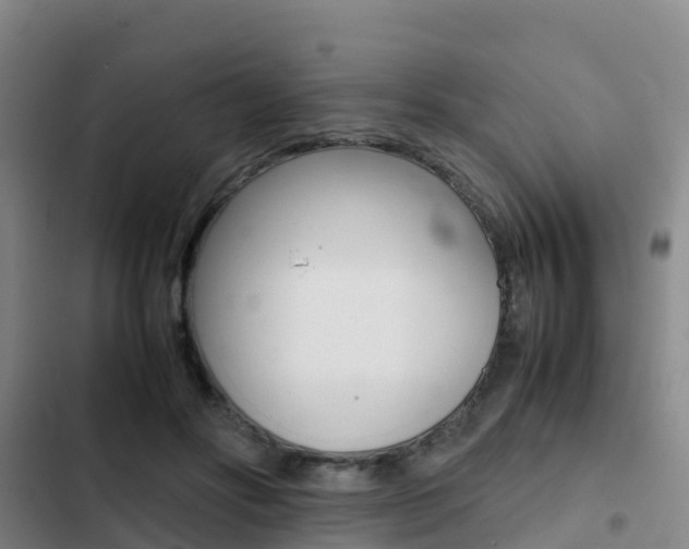 X0000103270502200808291110