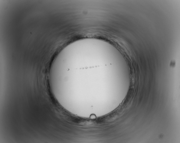 X0000103270503200808291110