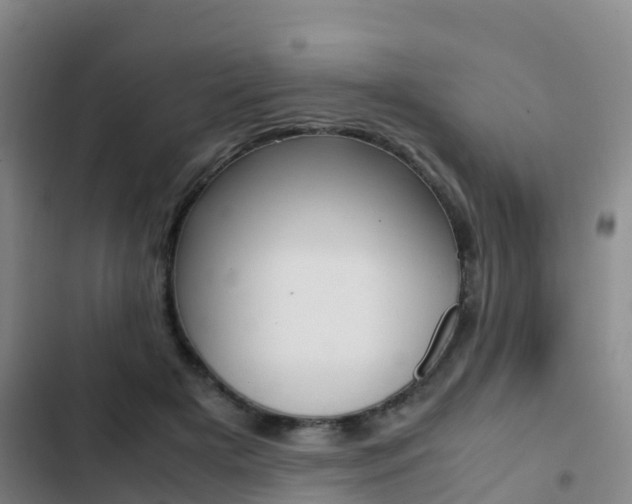 X0000103270505200808291110