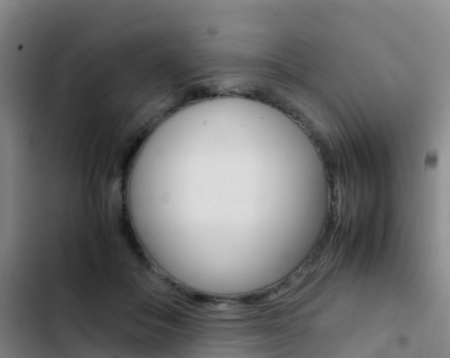 X0000103270506200808291110