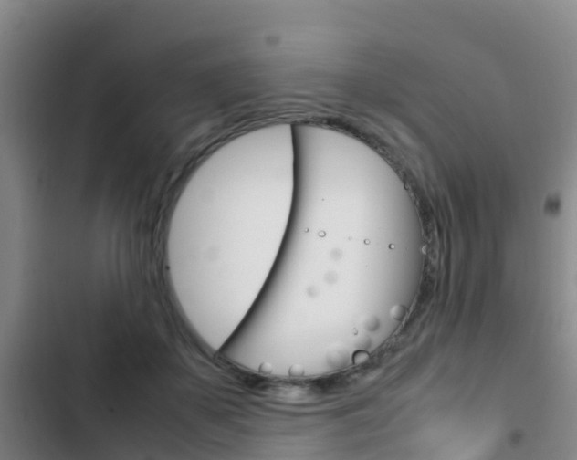 X0000103270507200808291110