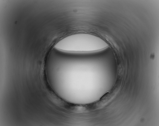 X0000103270509200808291110