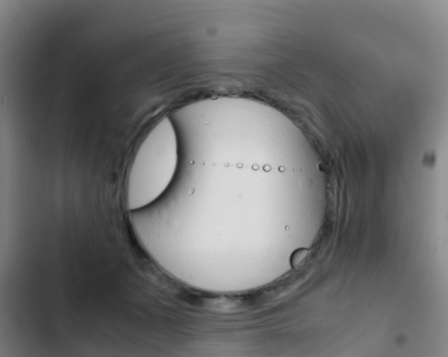 X0000103270511200808291110