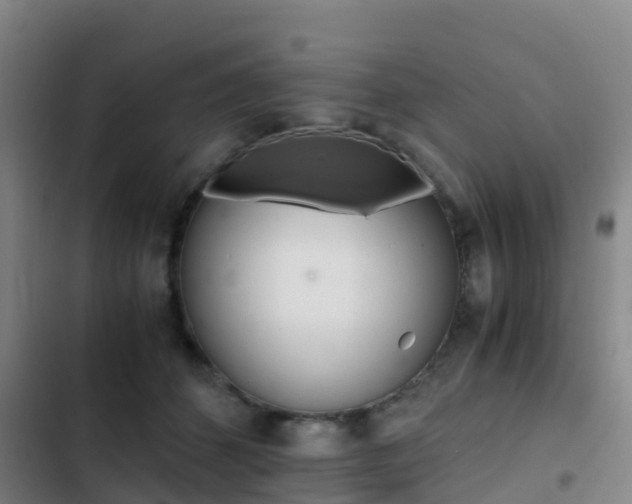 X0000103270512200808291110