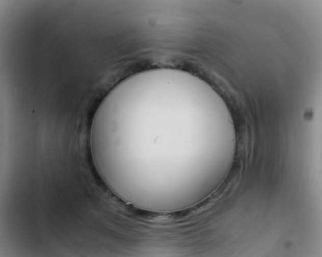 X0000103270513200808291110