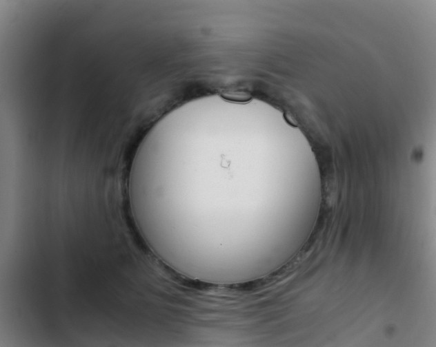 X0000103270515200808291110