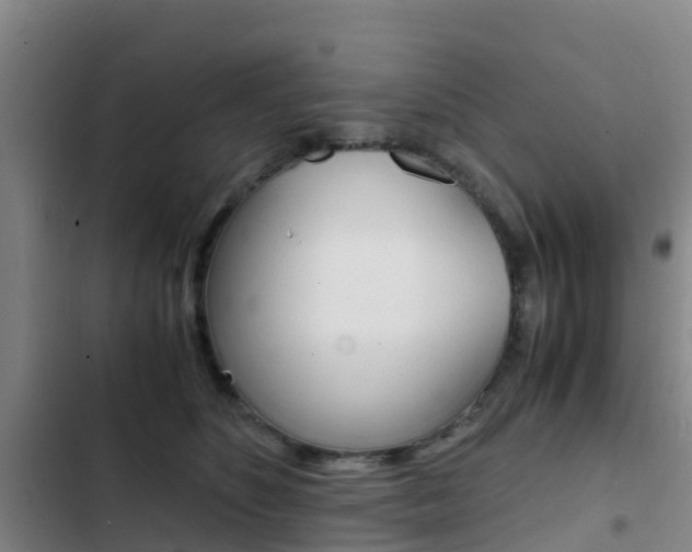 X0000103270516200808291110