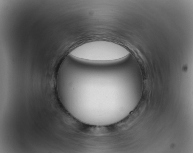X0000103270517200808291110