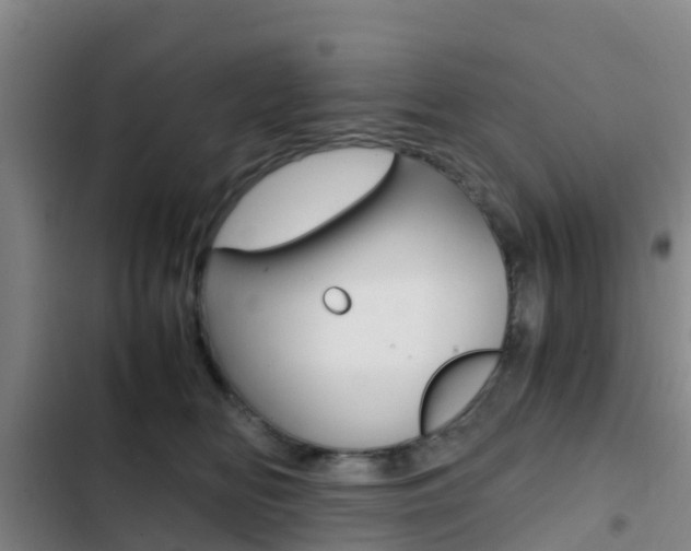 X0000103270518200808291110