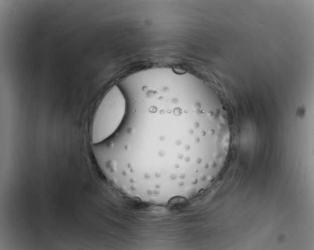 X0000103270519200808291110
