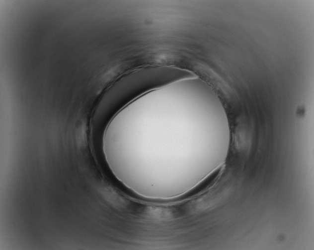 X0000103270520200808291110
