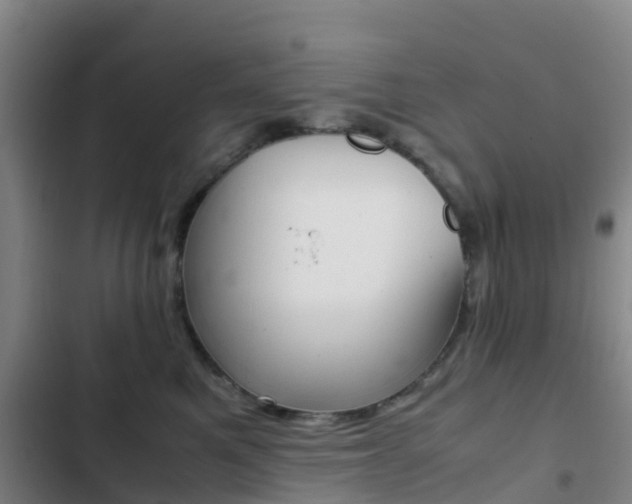 X0000103270521200808291110