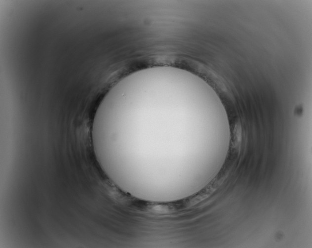 X0000103270522200808291110