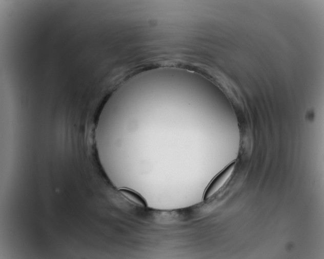 X0000103270525200808291110
