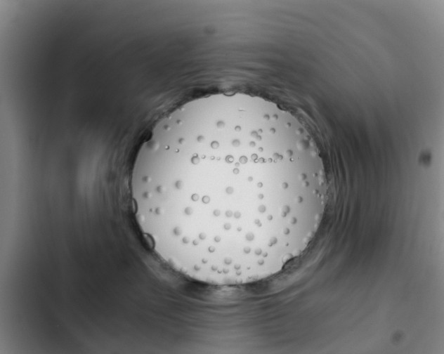 X0000103270527200808291110