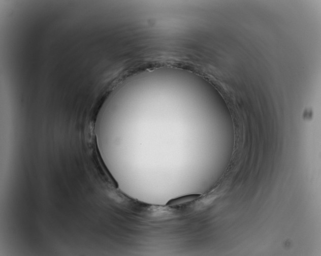 X0000103270528200808291110