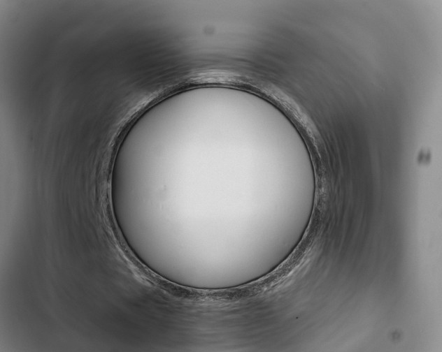 X0000103270529200808291109