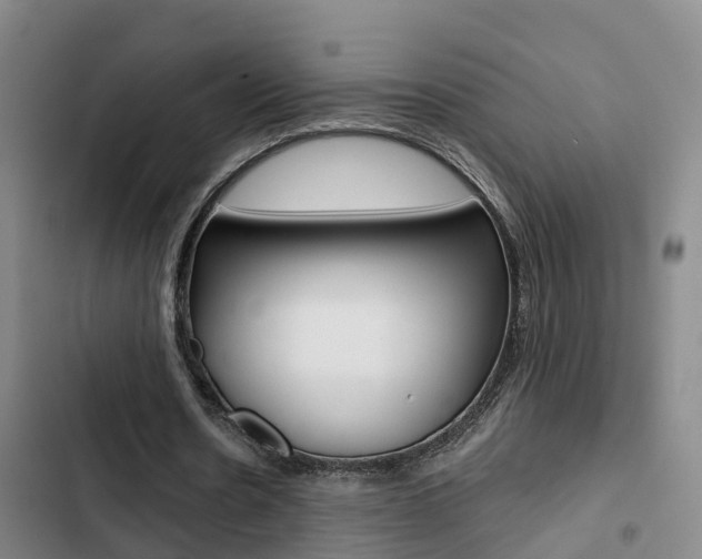 X0000103270530200808291109