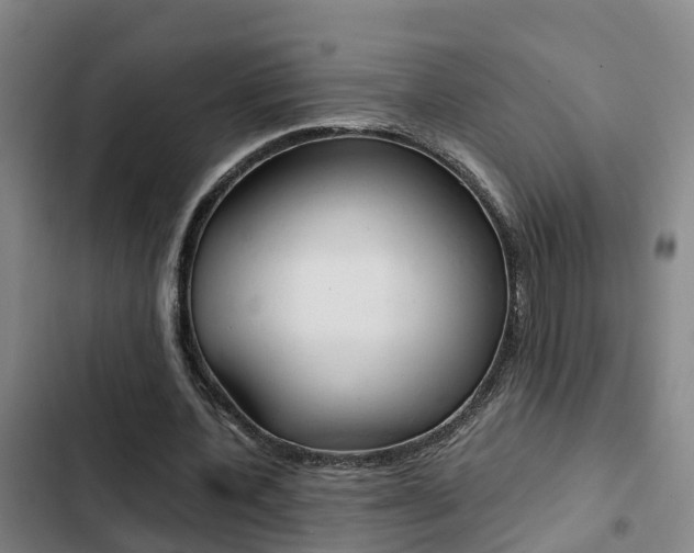 X0000103270532200808291109