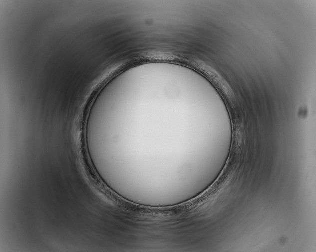 X0000103270533200808291109