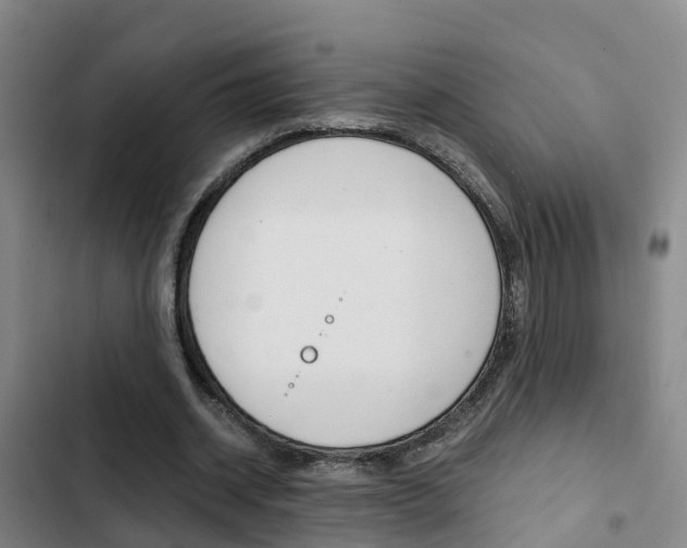 X0000103270534200808291109