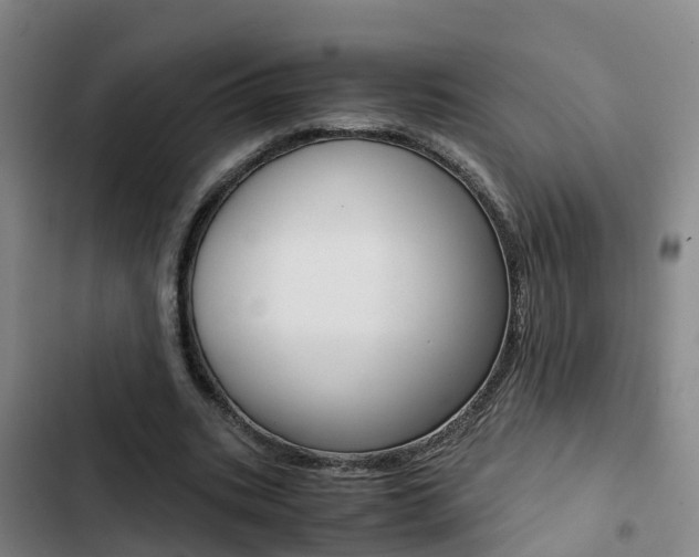 X0000103270535200808291109