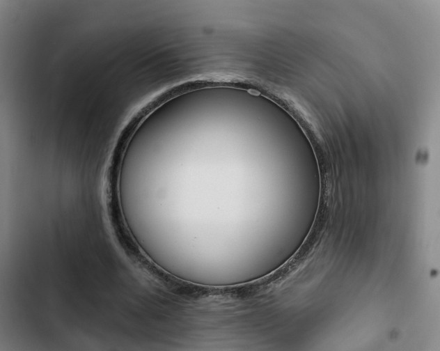 X0000103270536200808291109