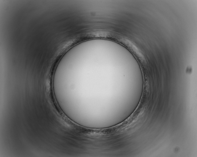 X0000103270537200808291109