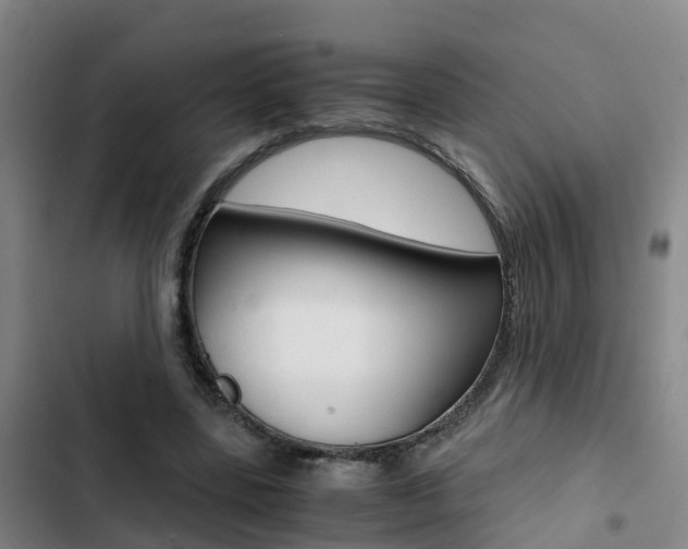 X0000103270539200808291109