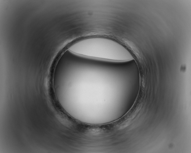 X0000103270540200808291109