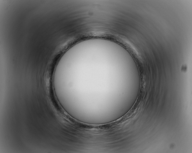 X0000103270542200808291109