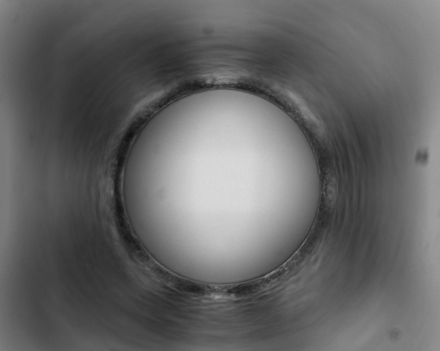 X0000103270543200808291109