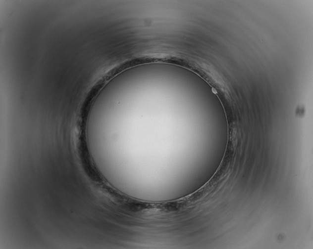 X0000103270544200808291109