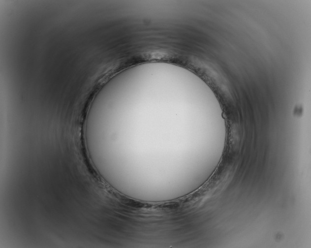 X0000103270545200808291109