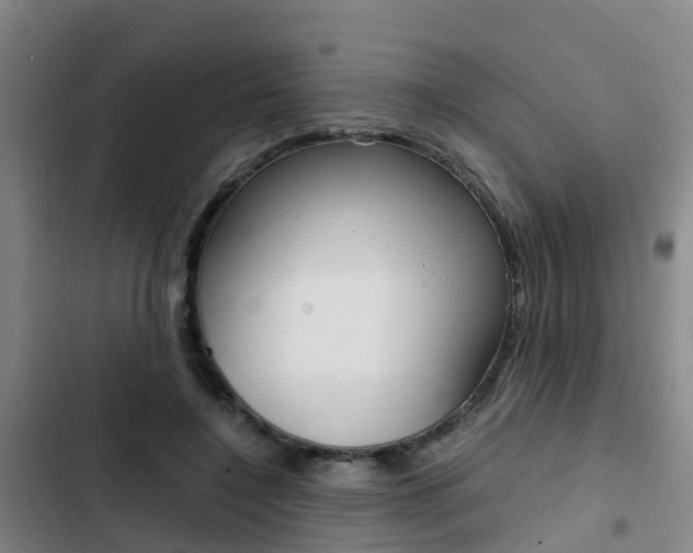 X0000103270548200808291109