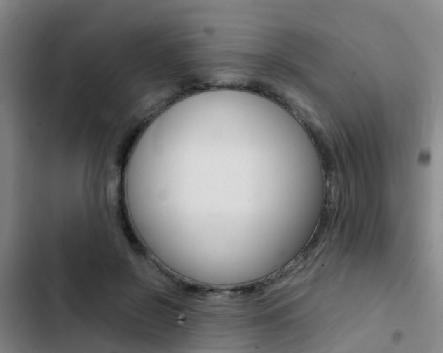 X0000103270550200808291109