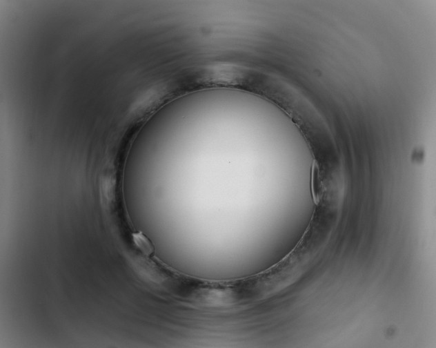 X0000103270552200808291109