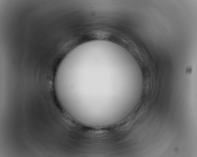 X0000103270553200808291109