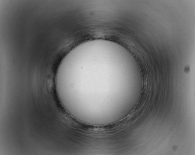 X0000103270554200808291109